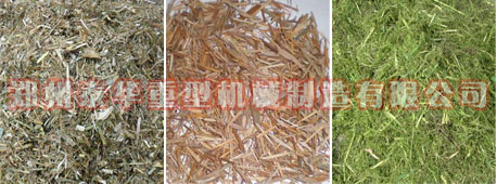 麻豆AV在线播放
